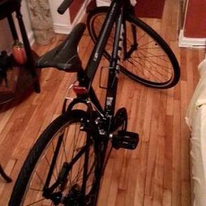 2016 Giant Escape 3 Black and Silver or Gray