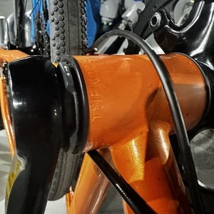 2017 Van Dessel WTF Orange