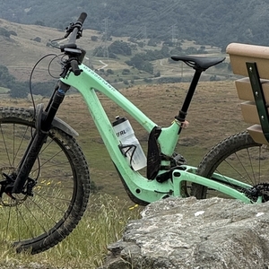 2023 Bold Unplugged Green