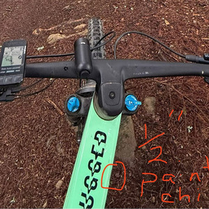 2023 Bold Unplugged Green