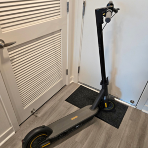 Segway Ninebot G30P e-scooter Black