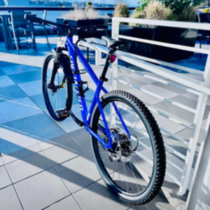 2025 Specialized Rockhopper Blue
