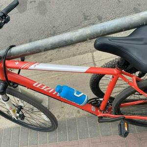 2024 Revolution Cycle XL Orange