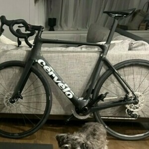 2024 Cervélo Soloist Black