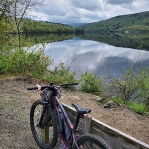 2024 Kona Kahuna Purple