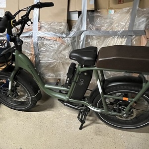 2024 Rad Power Bikes RedRunner 2 Electric Utility Bike Green