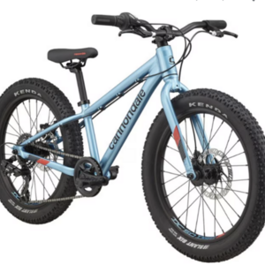 2021 Cannondale Blue