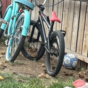 2015 Unknown Cruiser Teal