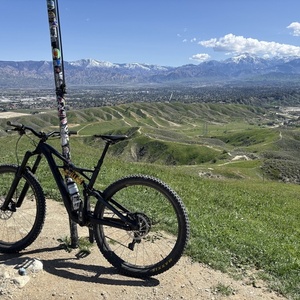 2017 Specialized Enduro Öhlins Coil 29 Black and Yellow or Gold