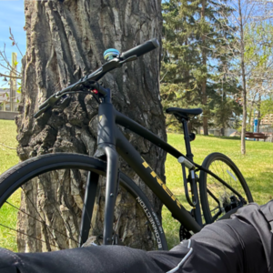 2025 Trek Fx2Gen4 Black and Yellow or Gold