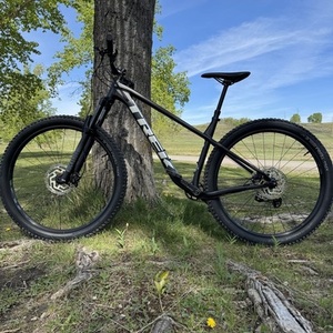 2023 Trek Alpha Gold Aluminum, tapered head tub... Black