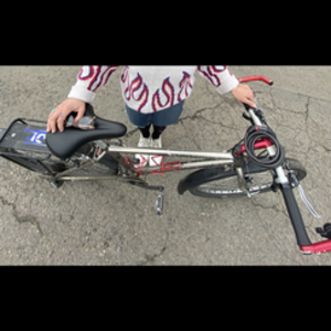 Marin Bikes Unknown Silver, gray or bare metal and Red