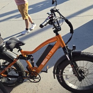 2024 Wired Freedom Orange
