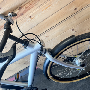 VanMoof Volume 1 Silver, gray or bare metal