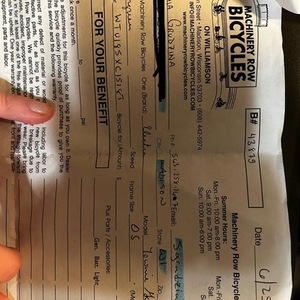 Electra Townie Go! Green and Brown