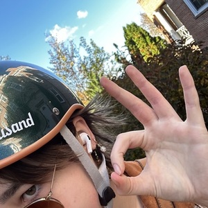 Electra Townie Go! Green and Brown