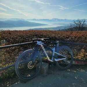 2025 Canyon bicycles Lux Trail CF 9 Silver, gray or bare metal