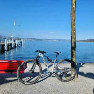 2025 Canyon bicycles Lux Trail CF 9 Silver, gray or bare metal