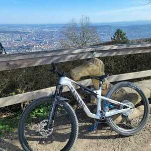 2025 Canyon bicycles Lux Trail CF 9 Silver, gray or bare metal