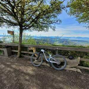 2025 Canyon bicycles Lux Trail CF 9 Silver, gray or bare metal