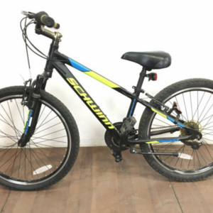 Schwinn Black, Green, and Blue