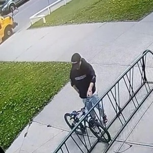 Schwinn Black, Green, and Blue