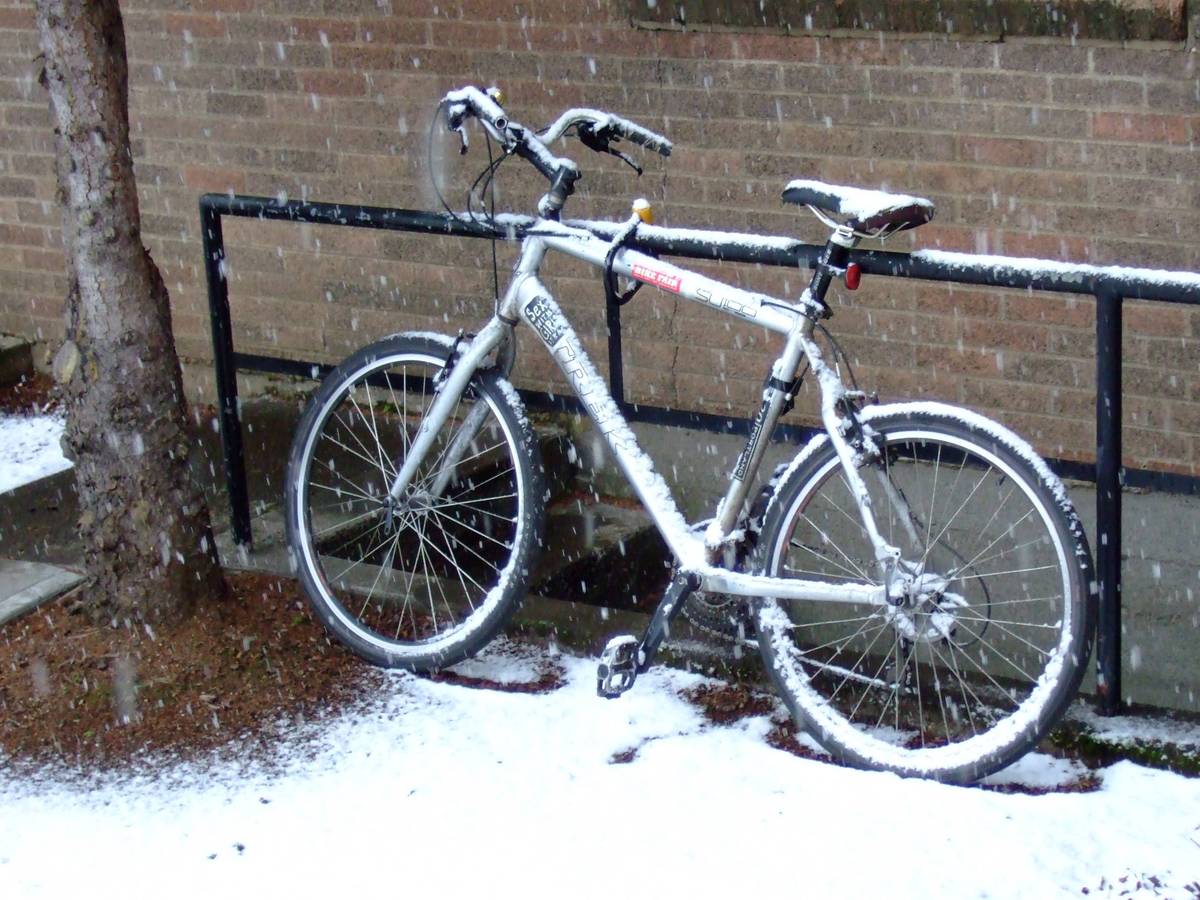 Bike photo