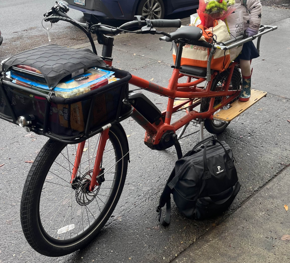 Cargo Bike Rear photo