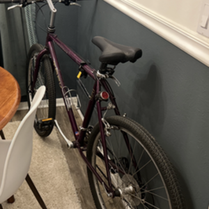 1994 Trek 920 Purple