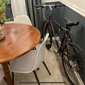 1994 Trek 920 Purple