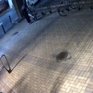 2024 Lectric eBikes XP LITE White