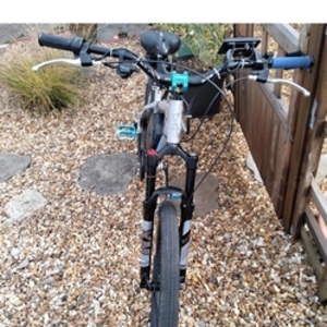 Unknown Silver, gray or bare metal