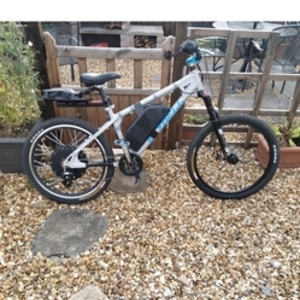 Unknown Silver, gray or bare metal