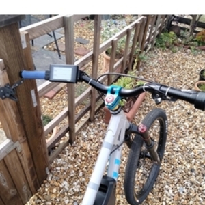 Unknown Silver, gray or bare metal