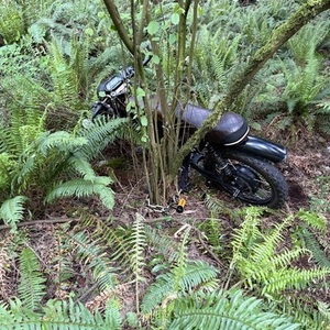 2022 Onyx Brown and Black