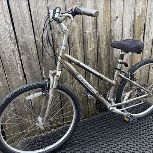 2005 Specialized Expedition Sport Womens Brown