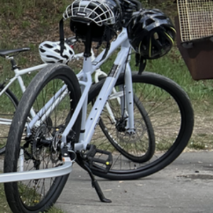 2023 Norco Bikes Indie 4 Silver, gray or bare metal