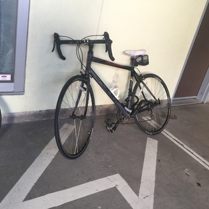 Felt F-lite z100 Silver or Gray