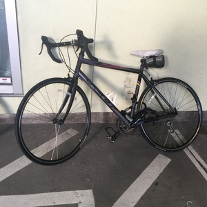 Felt F-lite z100 Silver or Gray