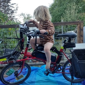 1970 Raleigh Raleigh 20 non-folding Red