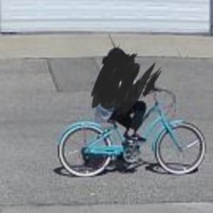 2015 Unknown Cruiser Teal