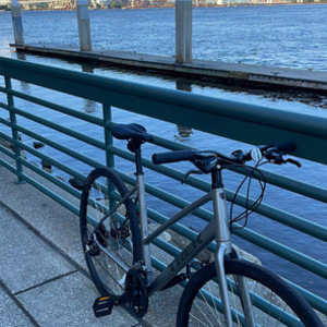 2023 Trek FX 1 STAGGER DISC L SL Silver, gray or bare metal