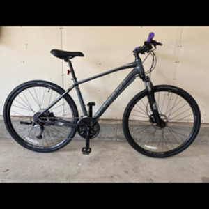 2024 Giant Roam 2 Silver, gray or bare metal