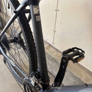 2024 Giant Roam 2 Silver, gray or bare metal