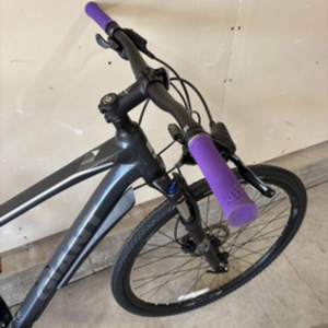 2024 Giant Roam 2 Silver, gray or bare metal