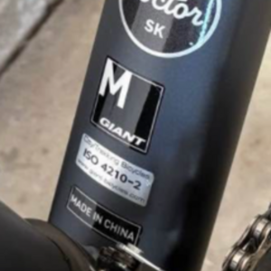 2024 Giant Roam 2 Silver, gray or bare metal