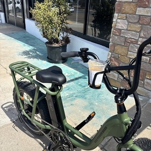 2024 Rad Power Bikes Radrunner 2 Green