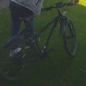 2020 Cannondale Trail 8 Black and Silver, gray or bare metal