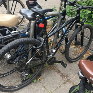 2020 Cannondale Trail 8 Black and Silver, gray or bare metal