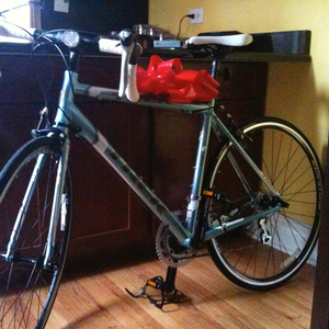 2010 Trek Teal